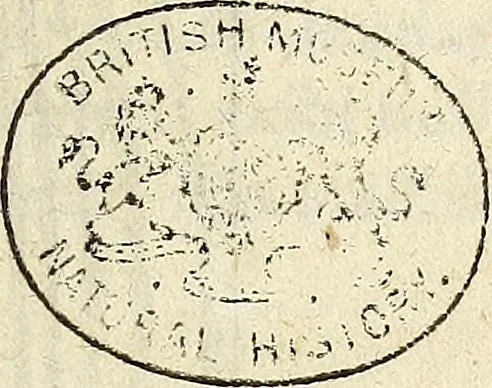 An illustration from Miscellanea Curiosa Medico-Physica Academiae Naturae Curiosorum, 1672, leaf 688