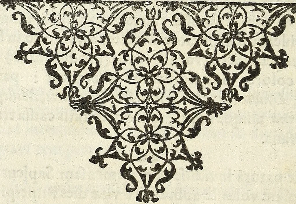 An illustration from Miscellanea Curiosa Medico-Physica Academiae Naturae Curiosorum, 1672, leaf 695