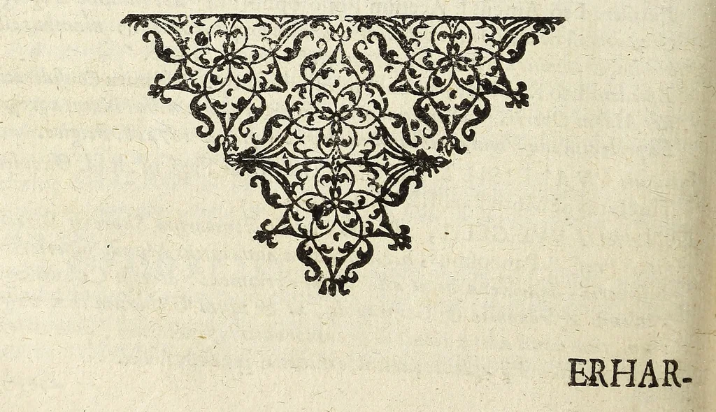 An illustration from Miscellanea Curiosa Medico-Physica Academiae Naturae Curiosorum, 1672, leaf 703