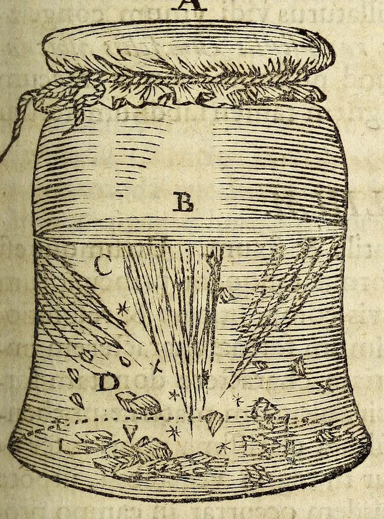 An illustration from Miscellanea Curiosa, sive Ephemiridum Medico-Physicarum Germanicarum Academiae Naturae Curiosorum, 1685, leaf 149