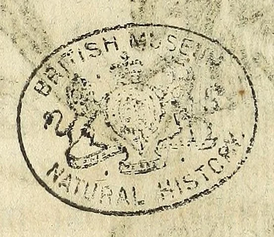 An illustration from Miscellanea Curiosa, sive Ephemiridum Medico-Physicarum Germanicarum Academiae Naturae Curiosorum, 1685, leaf 182