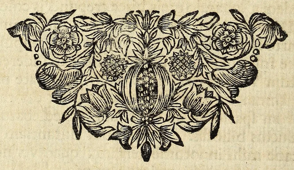 An illustration from Miscellanea Curiosa, sive Ephemiridum Medico-Physicarum Germanicarum Academiae Naturae Curiosorum, 1696, leaf 1030