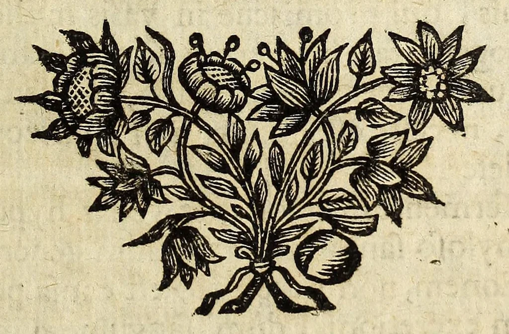 An illustration from Miscellanea Curiosa, sive Ephemiridum Medico-Physicarum Germanicarum Academiae Naturae Curiosorum, 1696, leaf 1117