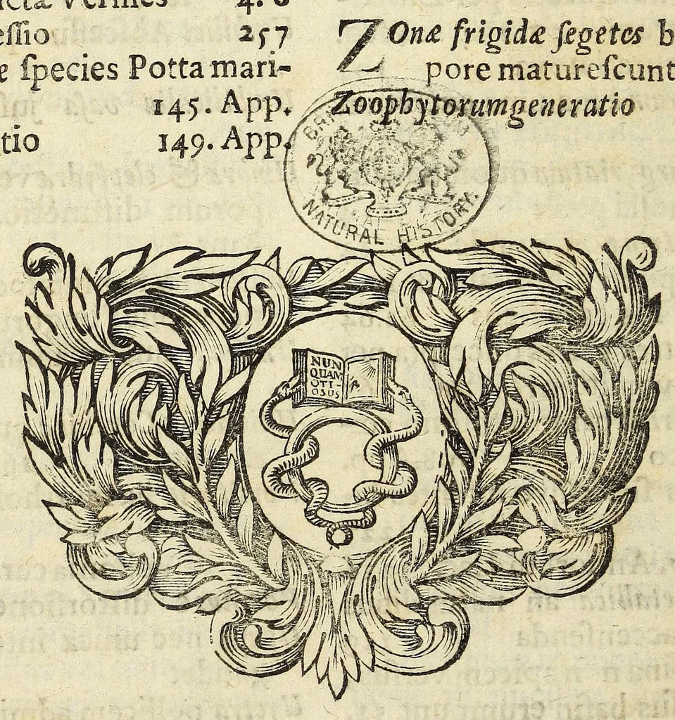 An illustration from Miscellanea Curiosa, sive Ephemiridum Medico-Physicarum Germanicarum Academiae Naturae Curiosorum, 1696, leaf 1160
