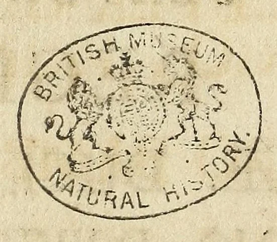An illustration from Miscellanea Curiosa, sive Ephemiridum Medico-Physicarum Germanicarum Academiae Naturae Curiosorum, 1696, leaf 12