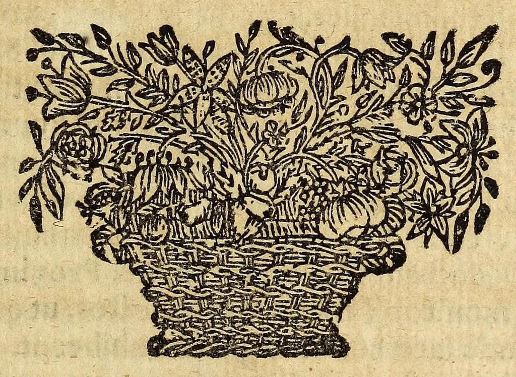 An illustration from Miscellanea Curiosa, sive Ephemiridum Medico-Physicarum Germanicarum Academiae Naturae Curiosorum, 1696, leaf 547