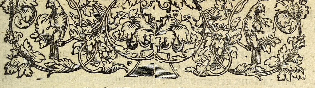 An illustration from Miscellanea Curiosa, sive Ephemiridum Medico-Physicarum Germanicarum Academiae Naturae Curiosorum, 1696, leaf 613