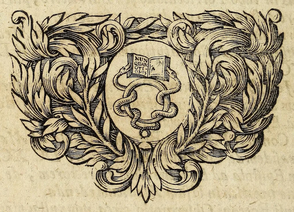 An illustration from Miscellanea Curiosa, sive Ephemiridum Medico-Physicarum Germanicarum Academiae Naturae Curiosorum, 1696, leaf 916