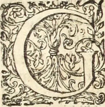 An illustration from Miscellanea curiosa, sive, Ephemeridum medico-physicarum Germanicarum, 1700, leaf 1002