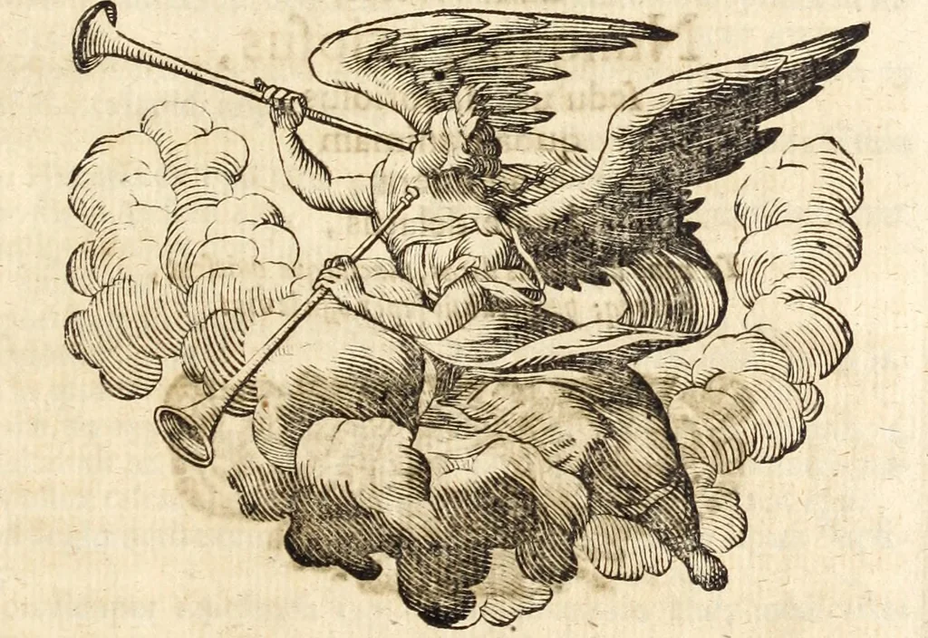 An illustration from Miscellanea curiosa, sive, Ephemeridum medico-physicarum Germanicarum, 1700, leaf 1010
