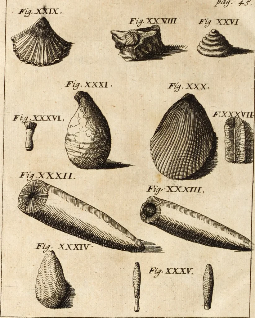 An illustration from Miscellanea curiosa, sive, Ephemeridum medico-physicarum Germanicarum, 1700, leaf 109