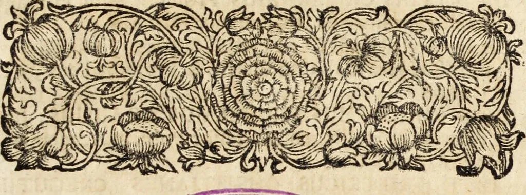An illustration from Miscellanea curiosa, sive, Ephemeridum medico-physicarum Germanicarum, 1700, leaf 20