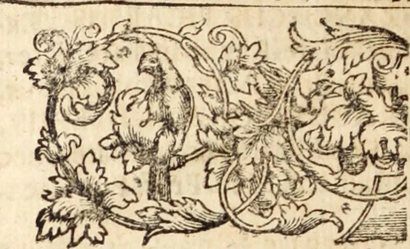 An illustration from Miscellanea curiosa, sive, Ephemeridum medico-physicarum Germanicarum, 1700, leaf 27