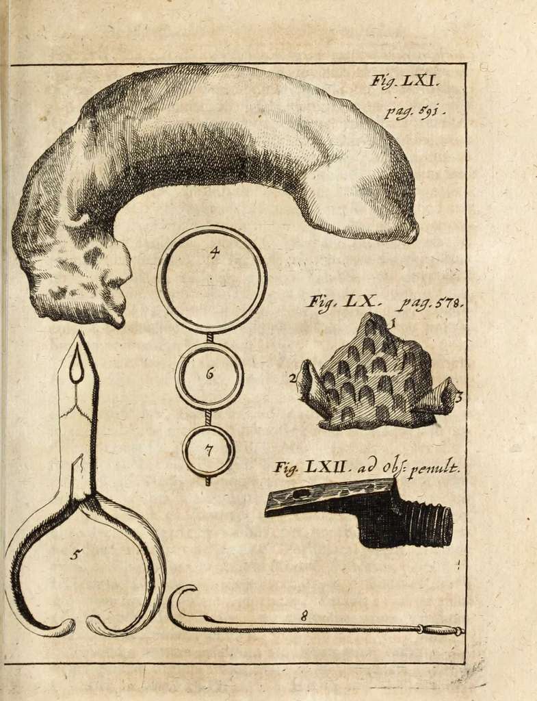 An illustration from Miscellanea curiosa, sive, Ephemeridum medico-physicarum Germanicarum, 1700, leaf 678