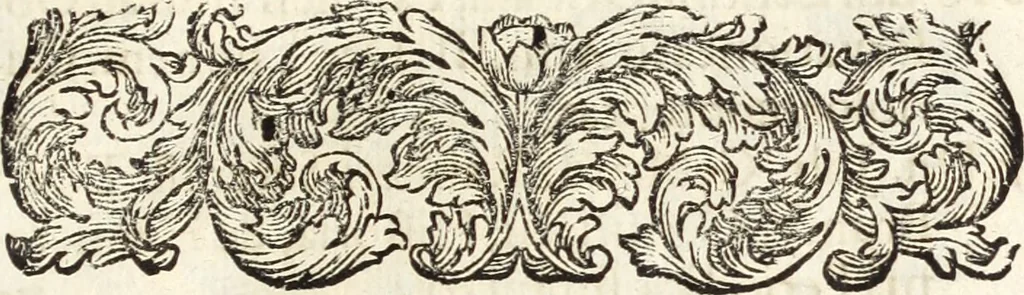 An illustration from Miscellanea curiosa, sive, Ephemeridum medico-physicarum Germanicarum, 1700, leaf 780