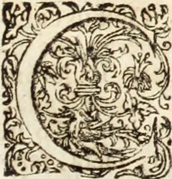 An illustration from Miscellanea curiosa, sive, Ephemeridum medico-physicarum Germanicarum, 1700, leaf 782
