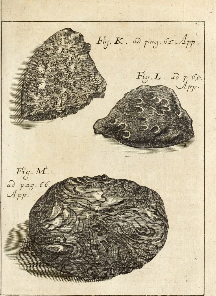 An illustration from Miscellanea curiosa, sive, Ephemeridum medico-physicarum Germanicarum, 1700, leaf 854