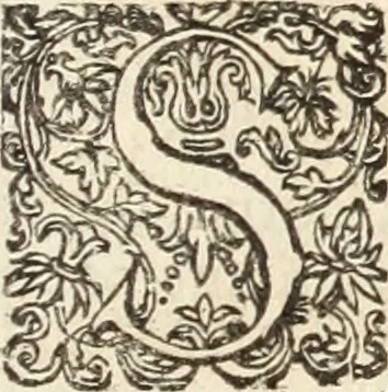 An illustration from Miscellanea curiosa, sive, Ephemeridum medico-physicarum Germanicarum, 1700, leaf 980