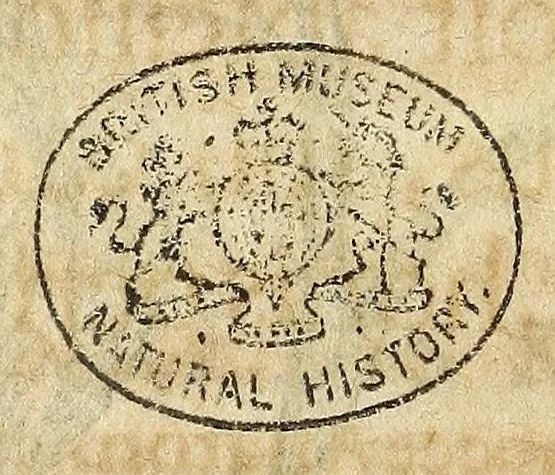 An illustration from Miscellanea Curiosa, sive Ephemiridum Medico-Physicarum Germanicarum Academiae Naturae Curiosorum, 1686, leaf 118