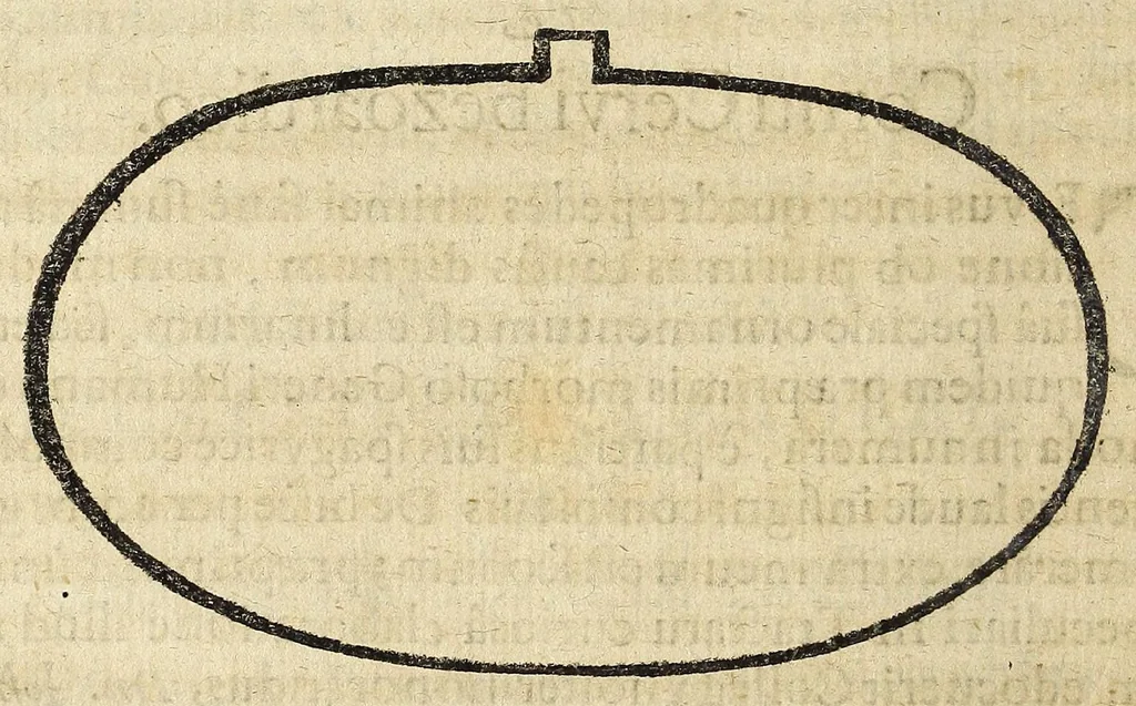An illustration from Miscellanea Curiosa, sive Ephemiridum Medico-Physicarum Germanicarum Academiae Naturae Curiosorum, 1686, leaf 326