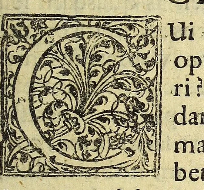 An illustration from Miscellanea Curiosa, sive Ephemiridum Medico-Physicarum Germanicarum Academiae Naturae Curiosorum, 1686, leaf 417