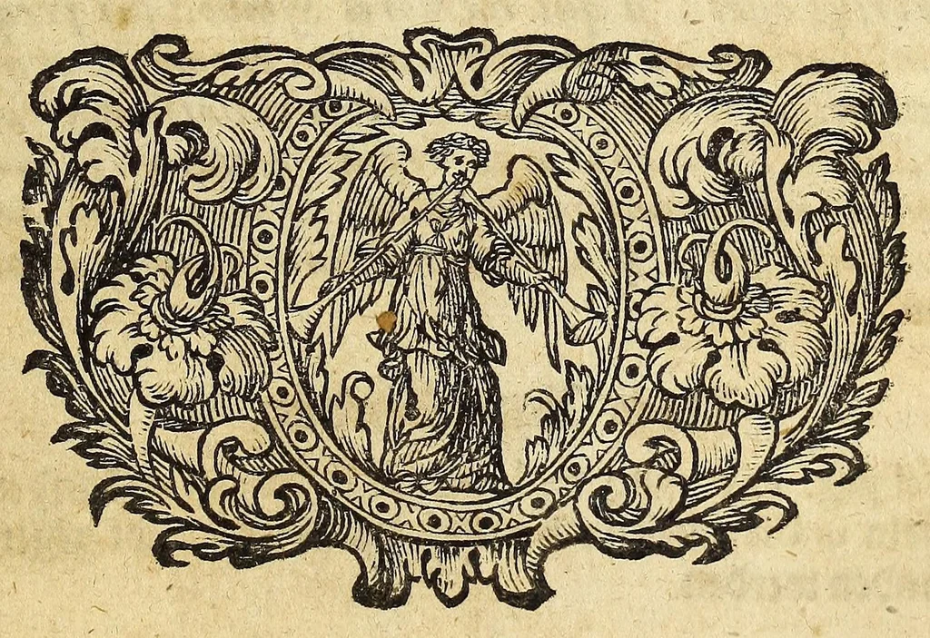An illustration from Miscellanea Curiosa, sive Ephemiridum Medico-Physicarum Germanicarum Academiae Naturae Curiosorum, 1686, leaf 683