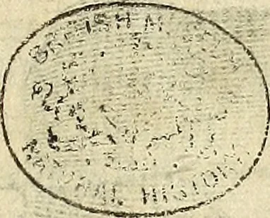 An illustration from Miscellanea Curiosa Medico-Physica Academiae Naturae Curiosorum, 1676, leaf 170