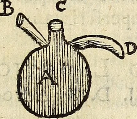 An illustration from Miscellanea Curiosa Medico-Physica Academiae Naturae Curiosorum, 1676, leaf 212