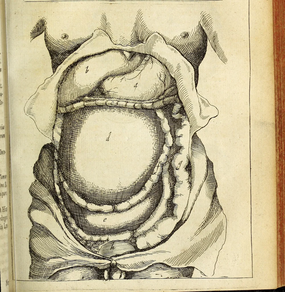 An illustration from Miscellanea Curiosa Medico-Physica Academiae Naturae Curiosorum, 1676, leaf 254