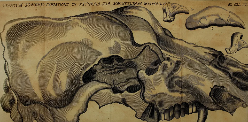 An illustration from Miscellanea Curiosa Medico-Physica Academiae Naturae Curiosorum, 1676, leaf 270
