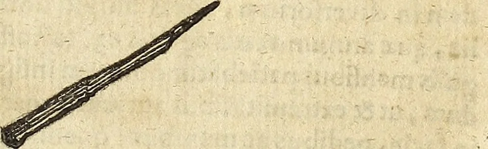 An illustration from Miscellanea Curiosa Medico-Physica Academiae Naturae Curiosorum, 1676, leaf 284