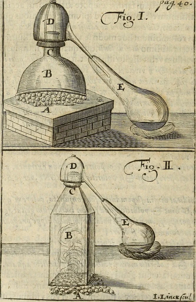 An illustration from Miscellanea Curiosa Medico-Physica Academiae Naturae Curiosorum, 1676, leaf 673