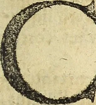An illustration from Miscellanea Curiosa Medico-Physica Academiae Naturae Curiosorum, 1676, leaf 752