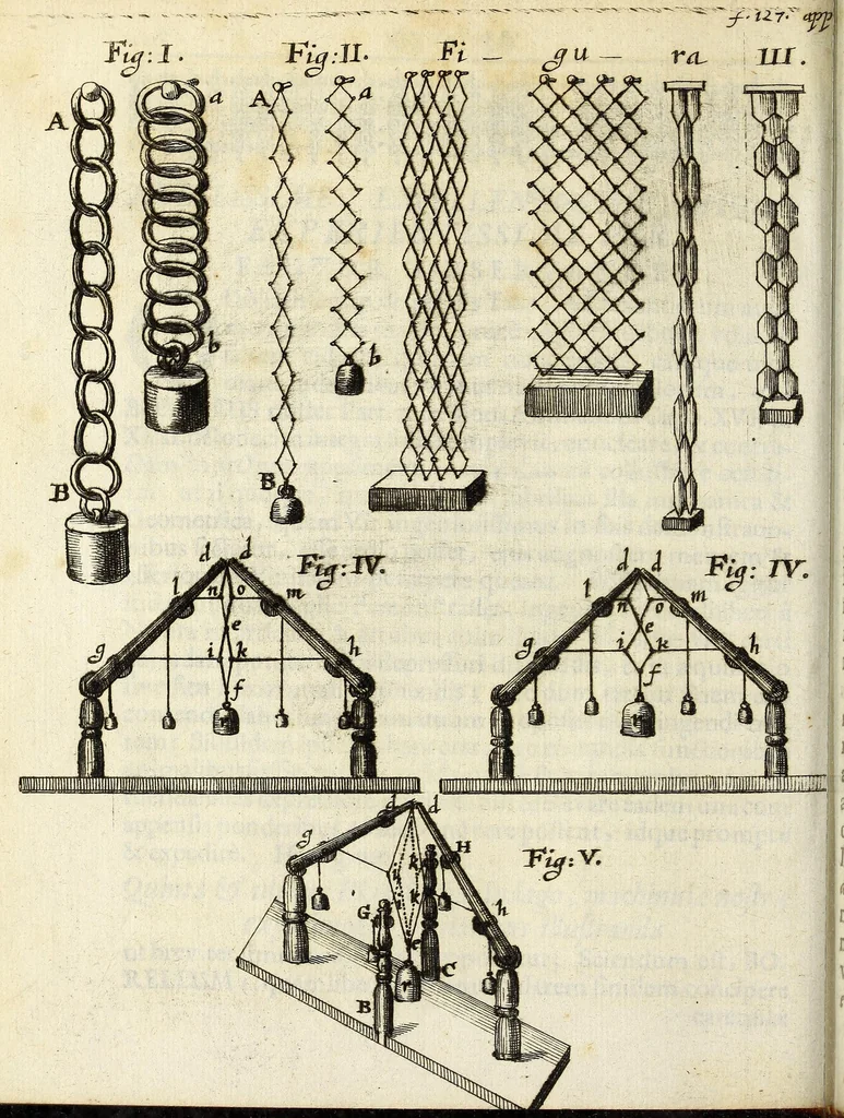 An illustration from Miscellanea Curiosa, sive Ephemiridum Medico-Physicarum Germanicarum Academiae Naturae Curiosorum, 1687, leaf 708