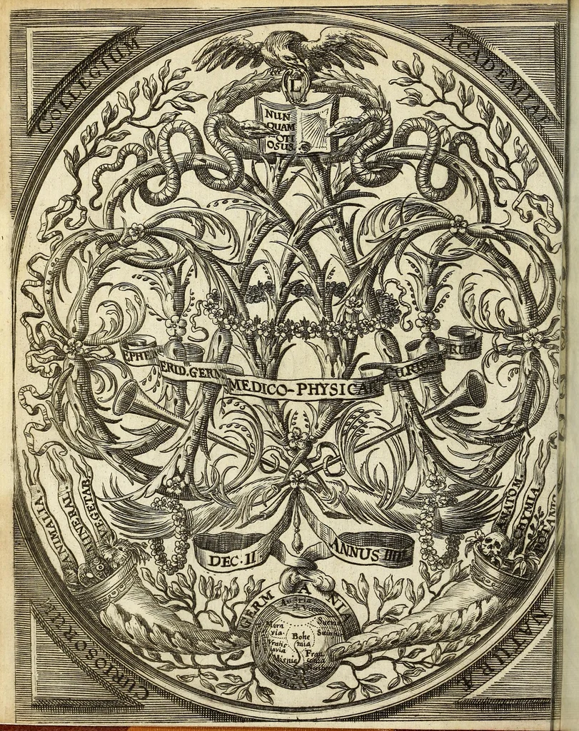 An illustration from Miscellanea Curiosa, sive Ephemiridum Medico-Physicarum Germanicarum Academiae Naturae Curiosorum, 1687, leaf 8