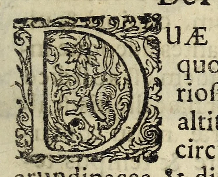 An illustration from Miscellanea Curiosa, sive Ephemiridum Medico-Physicarum Germanicarum Academiae Naturae Curiosorum, 1700, leaf 17