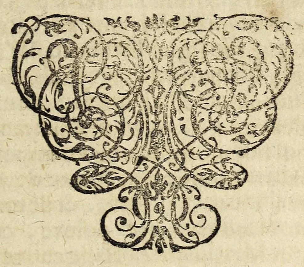 An illustration from Miscellanea Curiosa, sive Ephemiridum Medico-Physicarum Germanicarum Academiae Naturae Curiosorum, 1700, leaf 753