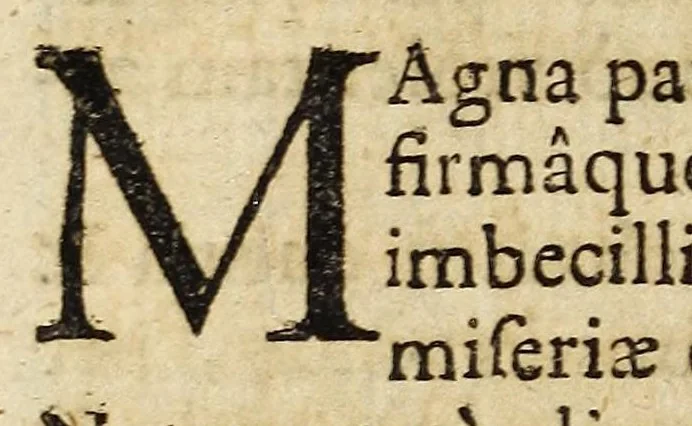 An illustration from Miscellanea Curiosa, sive Ephemiridum Medico-Physicarum Germanicarum Academiae Naturae Curiosorum, 1688, leaf 1028
