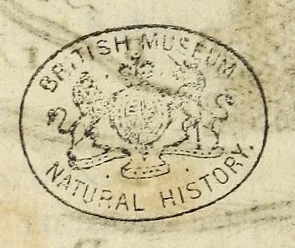 An illustration from Miscellanea Curiosa, sive Ephemiridum Medico-Physicarum Germanicarum Academiae Naturae Curiosorum, 1688, leaf 116