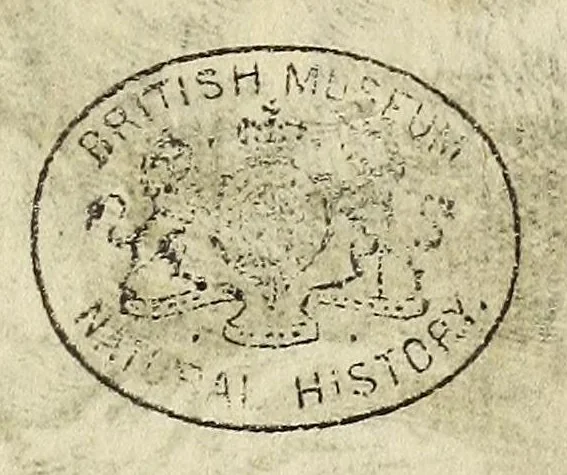 An illustration from Miscellanea Curiosa, sive Ephemiridum Medico-Physicarum Germanicarum Academiae Naturae Curiosorum, 1688, leaf 563