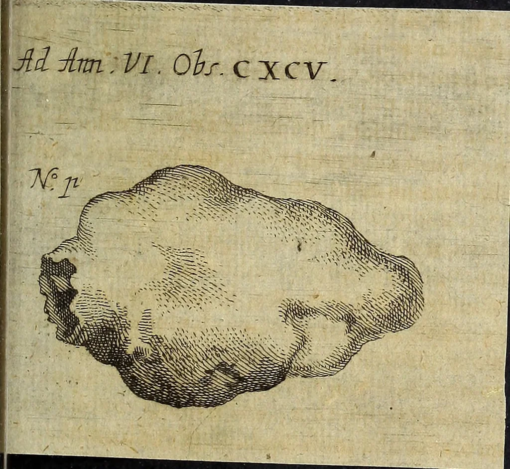 An illustration from Miscellanea Curiosa Medico-Physica Academiae Naturae Curiosorum, 1677, leaf 318