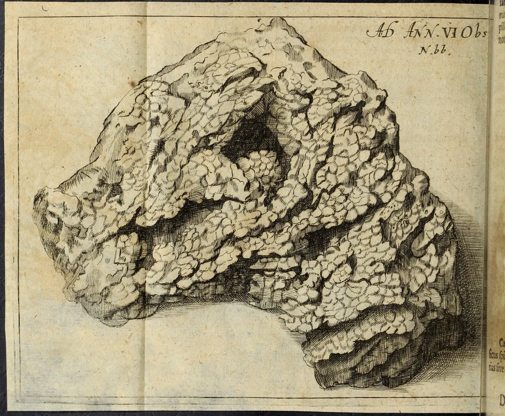 An illustration from Miscellanea Curiosa Medico-Physica Academiae Naturae Curiosorum, 1677, leaf 397