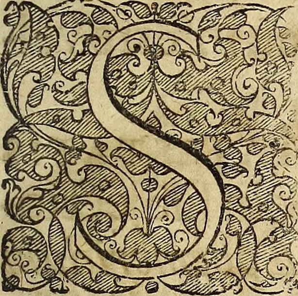 An illustration from Miscellanea Curiosa Medico-Physica Academiae Naturae Curiosorum, 1677, leaf 8