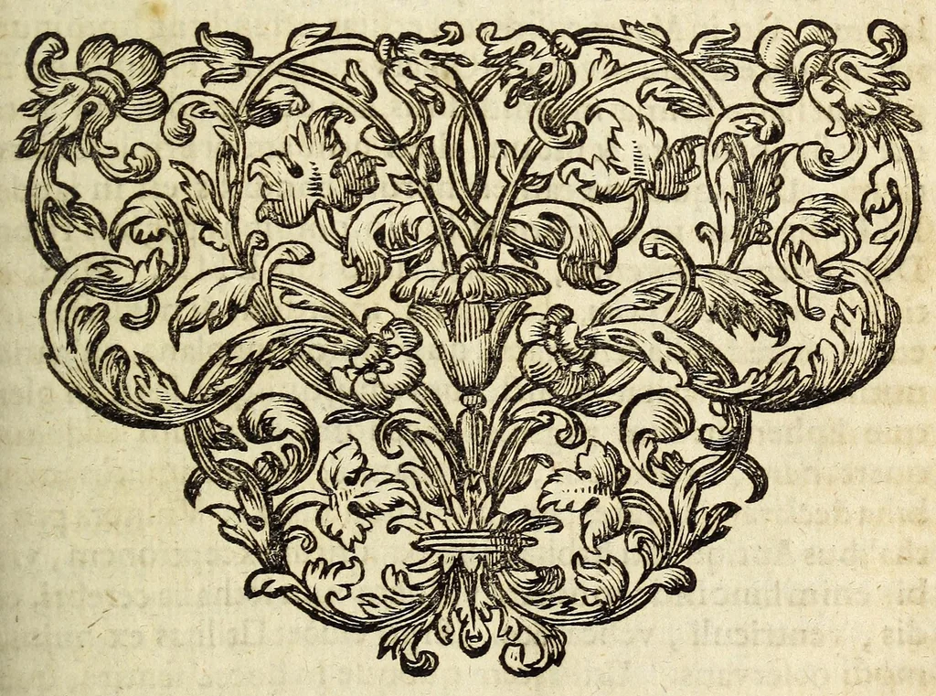 An illustration from Miscellanea Curiosa, sive Ephemiridum Medico-Physicarum Germanicarum Academiae Naturae Curiosorum, 1689, leaf 605