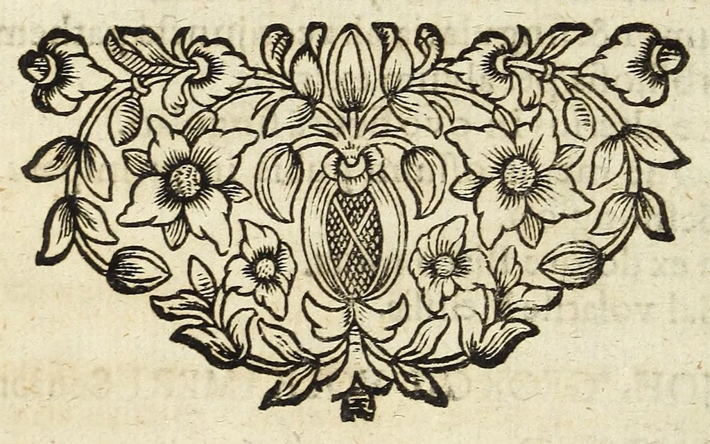 An illustration from Miscellanea Curiosa, sive Ephemiridum Medico-Physicarum Germanicarum Academiae Naturae Curiosorum, 1689, leaf 76
