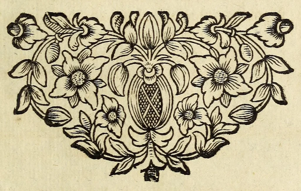 An illustration from Miscellanea Curiosa, sive Ephemiridum Medico-Physicarum Germanicarum Academiae Naturae Curiosorum, 1689, leaf 849