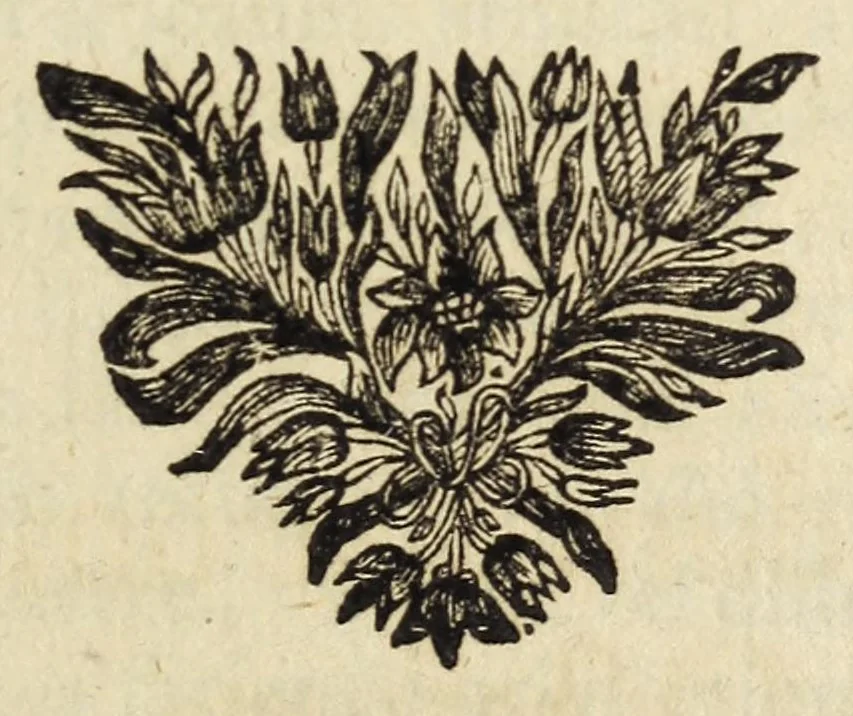 An illustration from Miscellanea Curiosa, sive Ephemiridum Medico-Physicarum Germanicarum Academiae Naturae Curiosorum, 1678, leaf 15