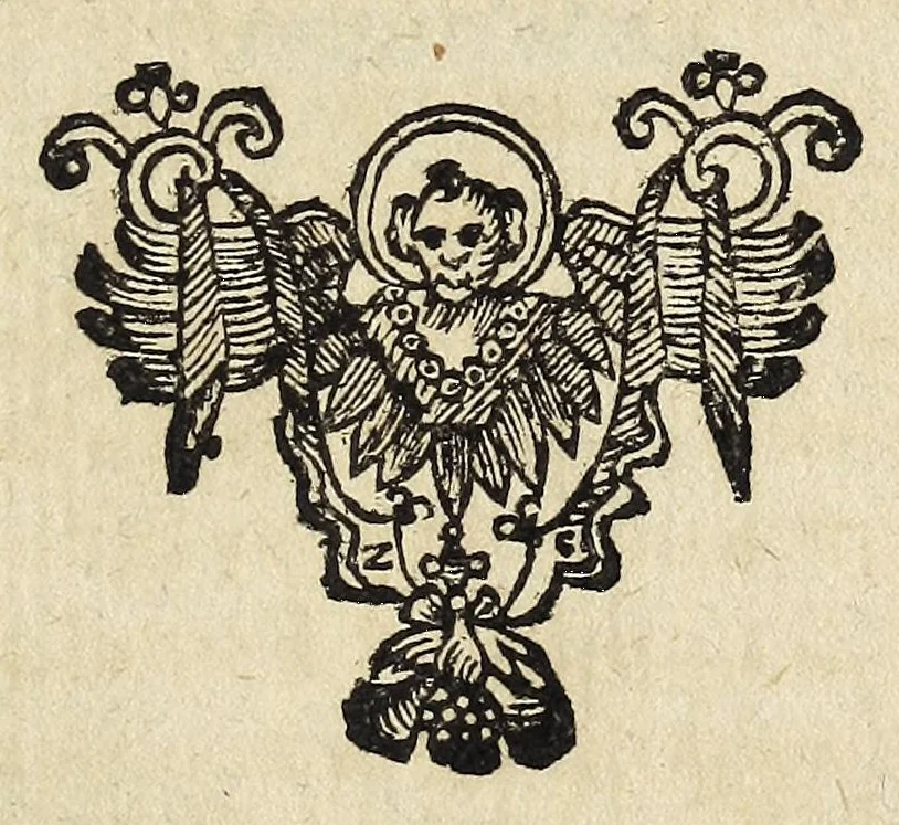 An illustration from Miscellanea Curiosa, sive Ephemiridum Medico-Physicarum Germanicarum Academiae Naturae Curiosorum, 1678, leaf 331