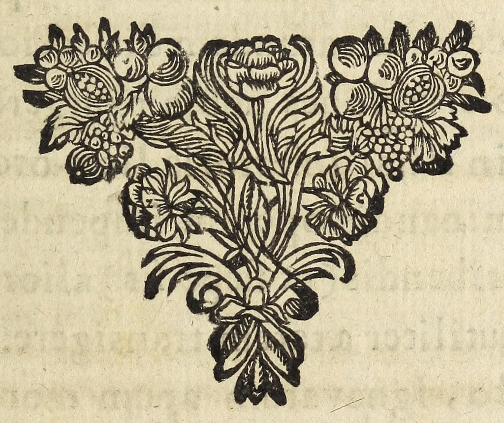 An illustration from Miscellanea Curiosa, sive Ephemiridum Medico-Physicarum Germanicarum Academiae Naturae Curiosorum, 1678, leaf 339