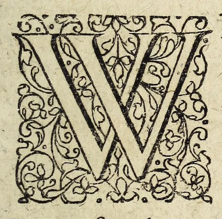 An illustration from Miscellanea Curiosa, sive Ephemiridum Medico-Physicarum Germanicarum Academiae Naturae Curiosorum, 1678, leaf 501
